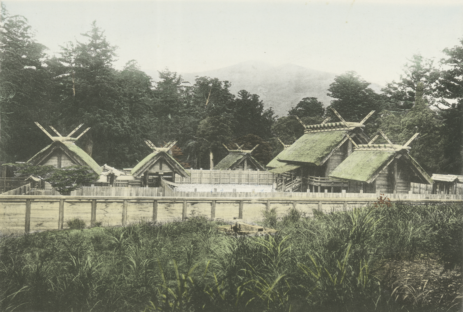 Aged photograph of Japan’s Grand Shrine of Ise, surrounded by trees, in the 1910s